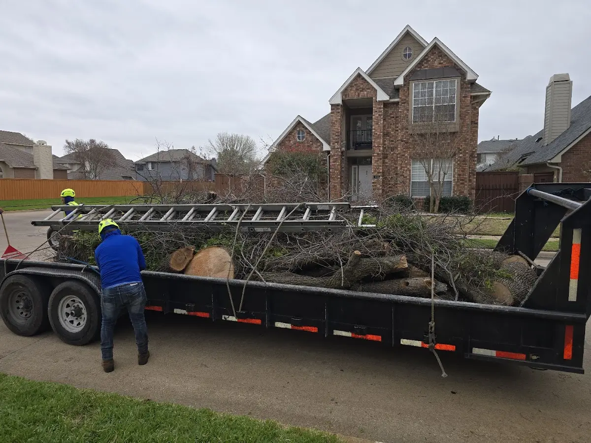 Expert Crown Reduction with proper safety equipment in Penn Yan